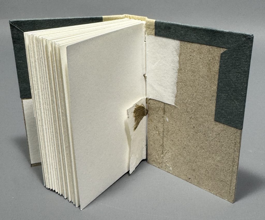 Smaller boarded binding cutaway model showing the inside of the back board, highlighting the pasted on cord attachment.
