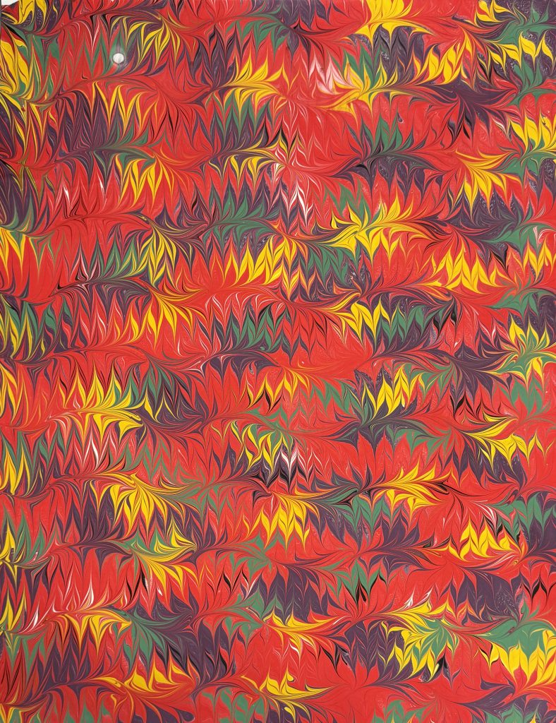 Cockatoo or octopus pattern in shades of red, yellow, green, purple and black.