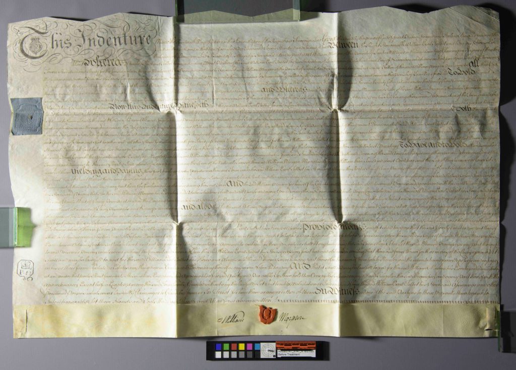 Overhead view of a parchment deed with light source casting shadows over the document to show the folds.